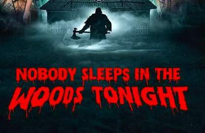 Nobody Sleeps in the Woods Tonight Movie